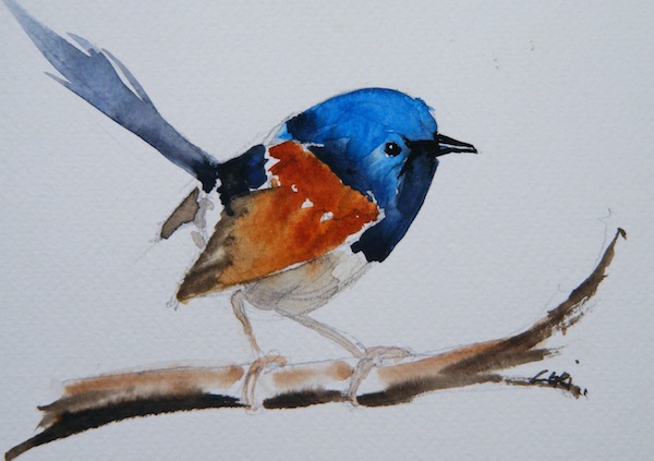 600x423 Superb Fairy Wren - Wren Painting