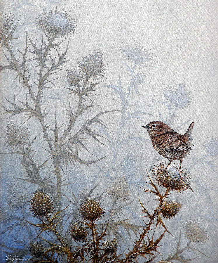 747x900 Winter Wren Painting By Mike Stinnett - Wren Painting