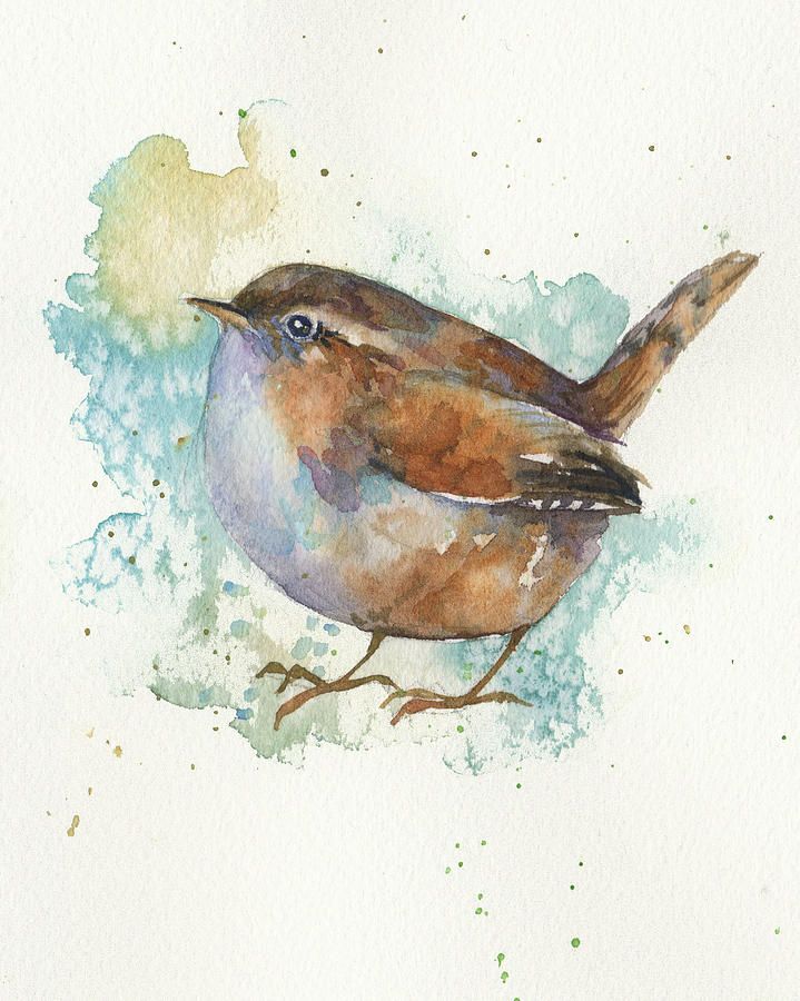 719x900 Wren Painting - Wren Painting
