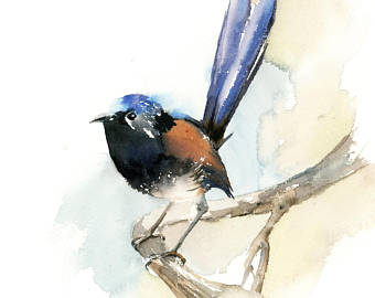 340x270 Fairy Wren Painting Etsy - Wren Painting