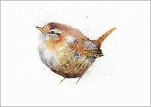 300x213 Helen April Rose Limited Print Jenny Wren Bird Art Watercolour 314 - Wren Painting
