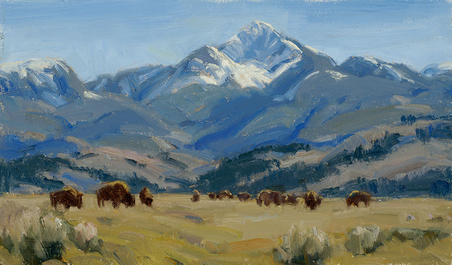 900x527 Wyoming Bison - Wyoming Painting