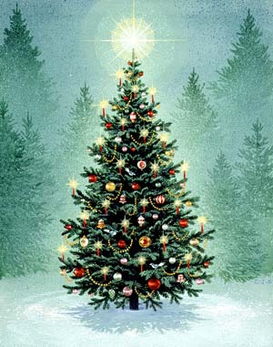 300x381 Charlotte Joan Sternberg Christmas Trees - Xmas Tree Painting