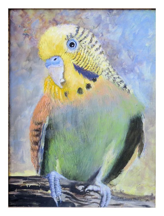 570x751 Paintings Of Birds A Green And Yellow Parakeet - Yellow Bird Painting