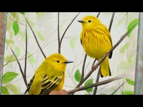 480x360 Yellow Warbler Acrylic Painting Bird Art Time Lapse - Yellow Bird Painting