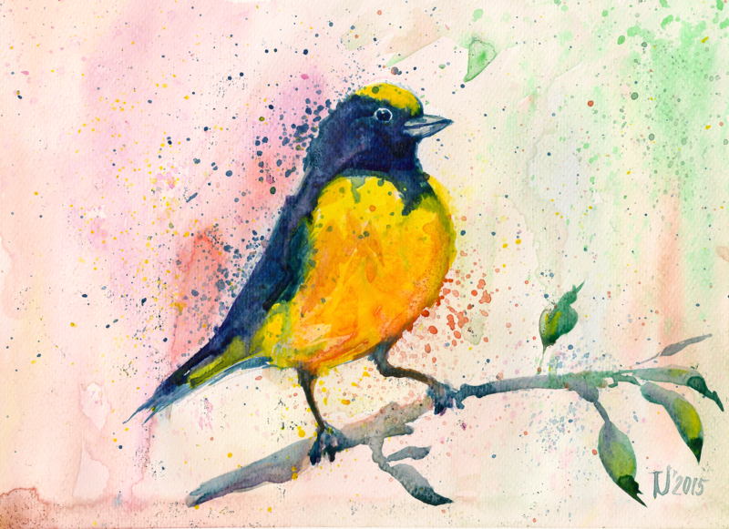 800x581 Yellow Bird Watercolor Painting By Adrianoceliento - Yellow Bird Painting