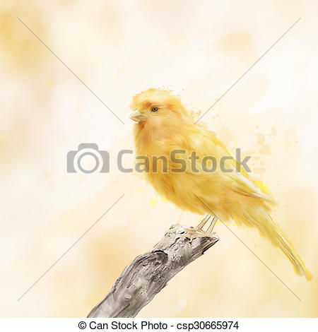 450x470 Yellow Bird Watercolor. Digital Painting Of Yellow Bird Picture - Yellow Bird Painting