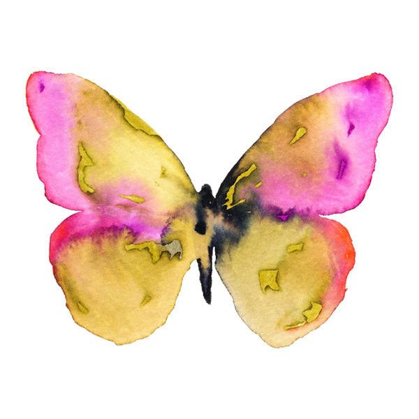 600x600 Watercolor Butterfly Illustration. Butterfly Wall Art. Pink - Yellow Butterfly Painting