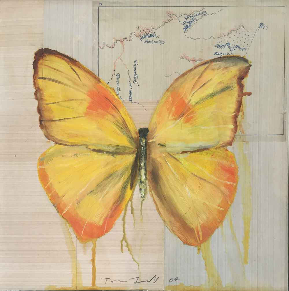 1000x1010 Yellow Butterfly Modern West Fine Art - Yellow Butterfly Painting