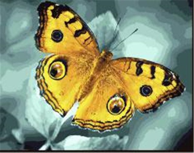 640x505 Beautiful Yellow Butterfly Printed Diy Digital Oil Painting By - Yellow Butterfly Painting