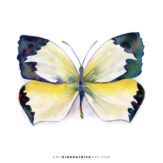 570x570 Yellow Butterfly Painting, Butterfly Wall Art, Butterfly Print - Yellow Butterfly Painting