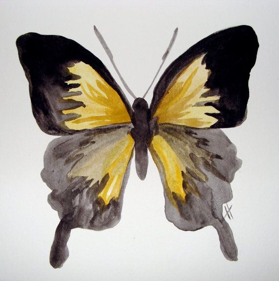 570x573 Yellow Butterfly Painting Original Watercolor Watercolor - Yellow Butterfly Painting