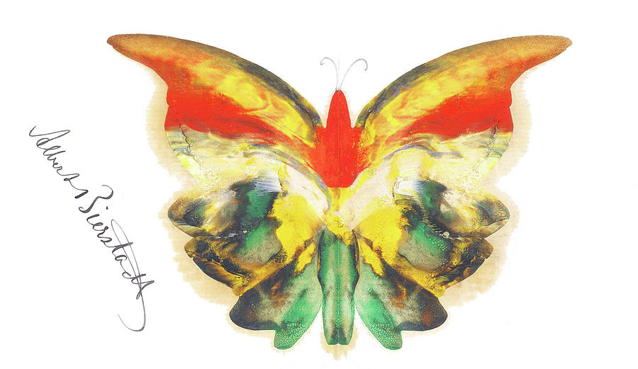 900x521 Yellow Butterfly Painting By Albert Bierstadt - Yellow Butterfly Painting