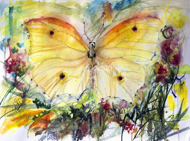 650x483 Yellow Butterfly Watercolor Painting By Ginette Callaway - Yellow Butterfly Painting