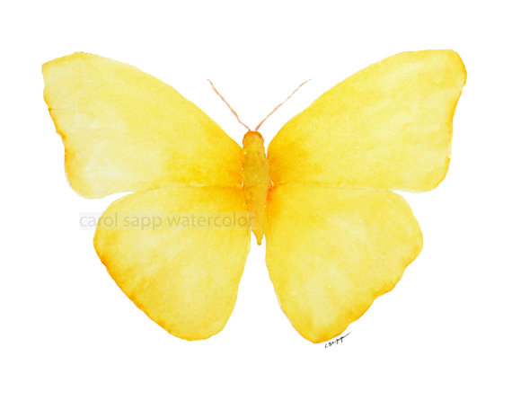 570x456 Yellow Butterfly Painting Archival Print - Yellow Butterfly Painting