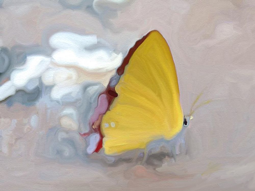 1000x750 Buy Butterfly Magic By Community Artists Group@ Rs. 5890. Code - Yellow Butterfly Painting