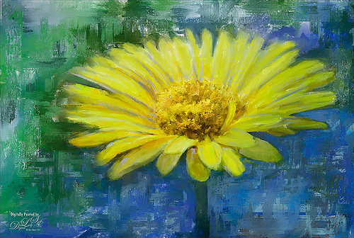 500x336 Corel Painter's Auto Painting Results Not Bad! Digital Lady - Yellow Daisy Painting