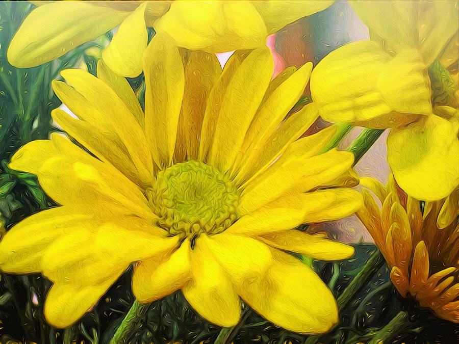 900x675 Fur And Feather Yellow Daisy Painting By Renette Coachman - Yellow Daisy Painting