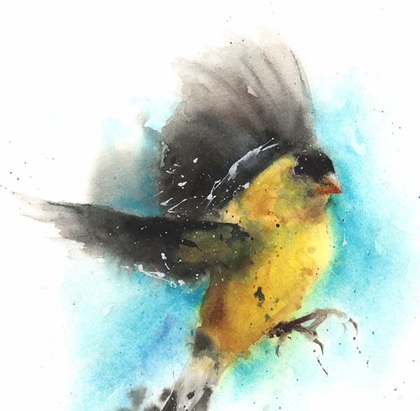 600x588 American Goldfinch Watercolor Print Watercolor Animal Paintings - Yellow Finch Painting