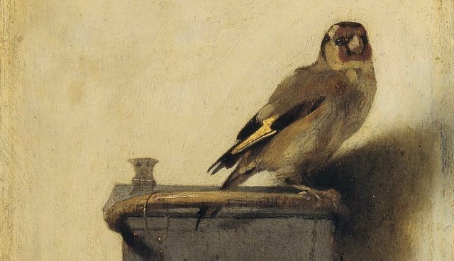 640x368 The Story Behind The Chained Bird In The Goldfinch - Yellow Finch Painting