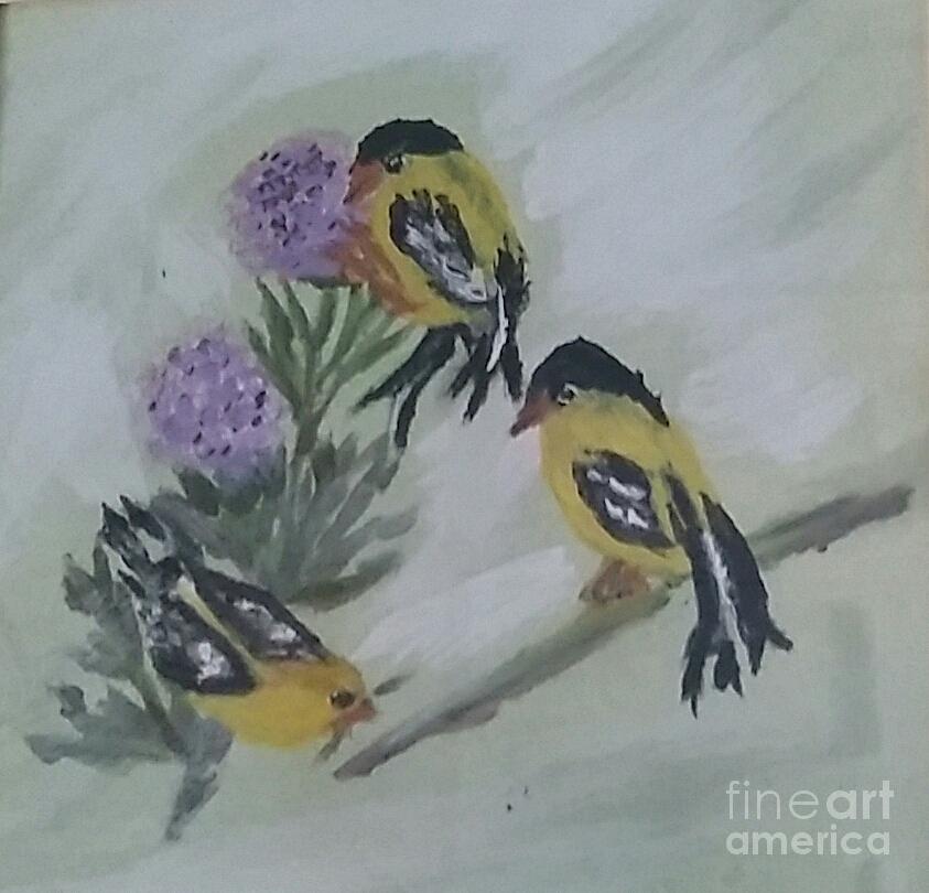 843x810 Yellow Finch Painting By Barbara Hedrick - Yellow Finch Painting