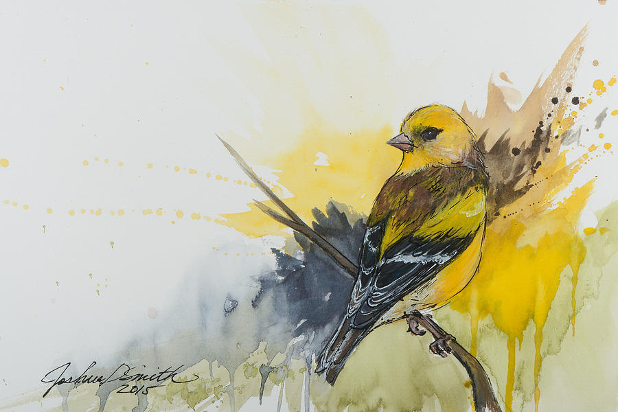 900x600 Yellow Finch Painting By Joshua Smith - Yellow Finch Painting