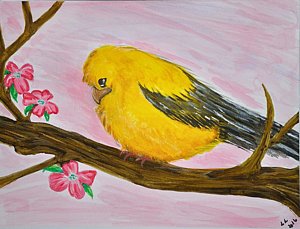 300x229 Yellow Finches Paintings Fine Art America - Yellow Finch Painting