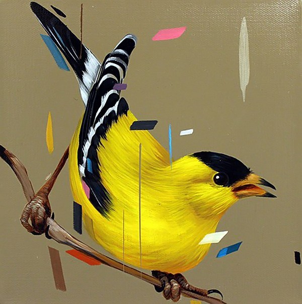600x604 Yellow Painted Finch - Yellow Finch Painting