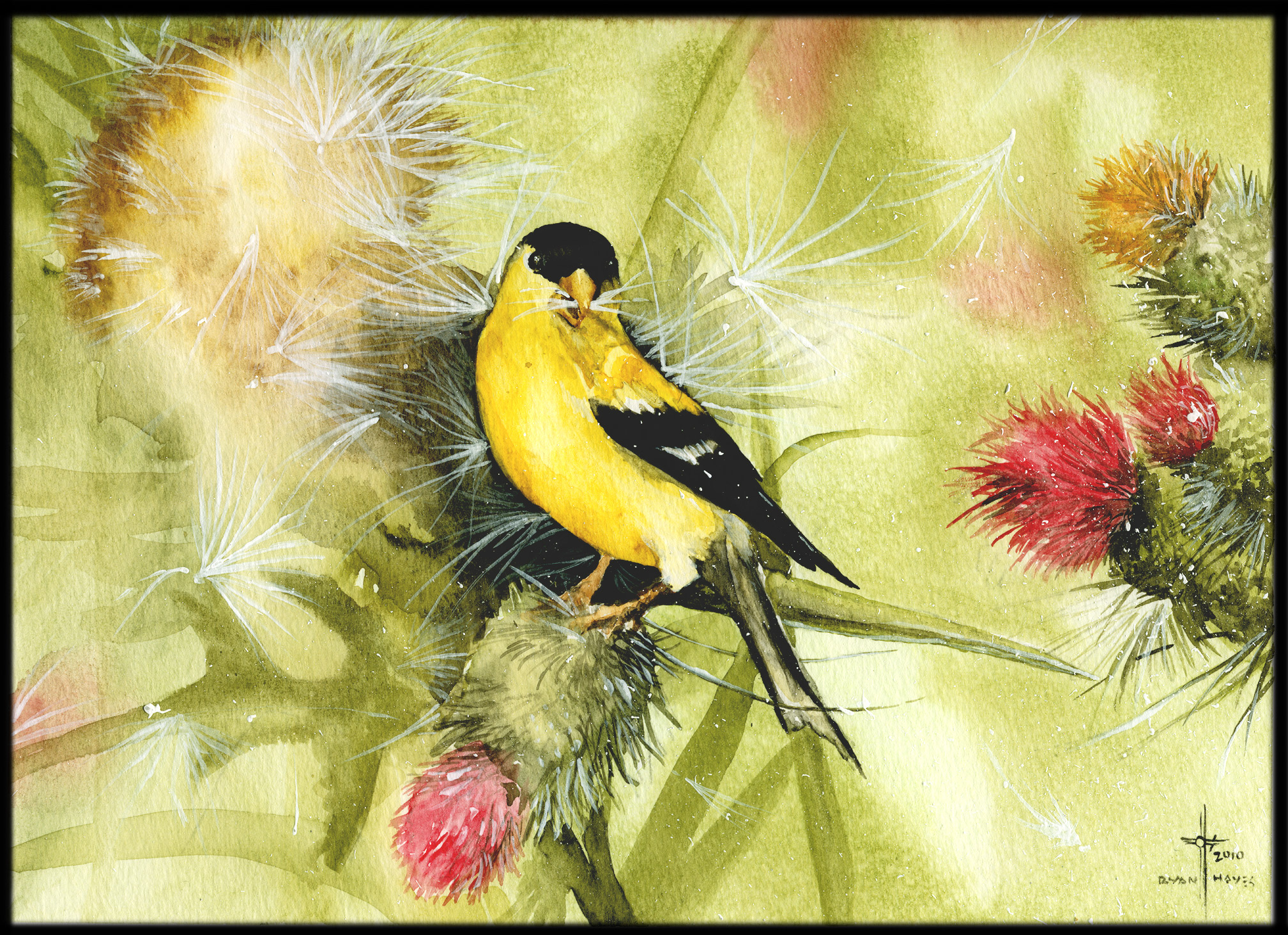 2016x1463 Goldfinch Watercolor Asmalltowndad's Weblog - Yellow Finch Painting