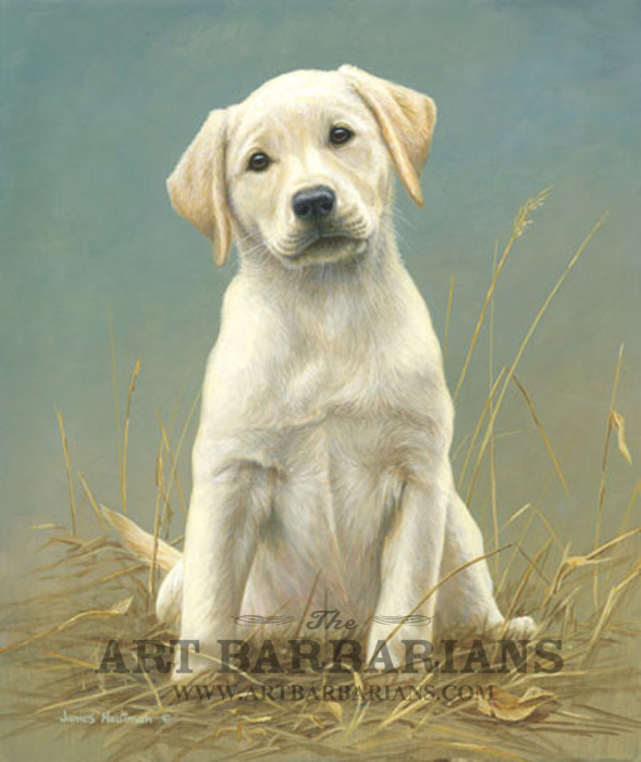 589x700 Wildlife Art Prints Plus Original Paintings With A Wide Selection - Yellow Lab Painting