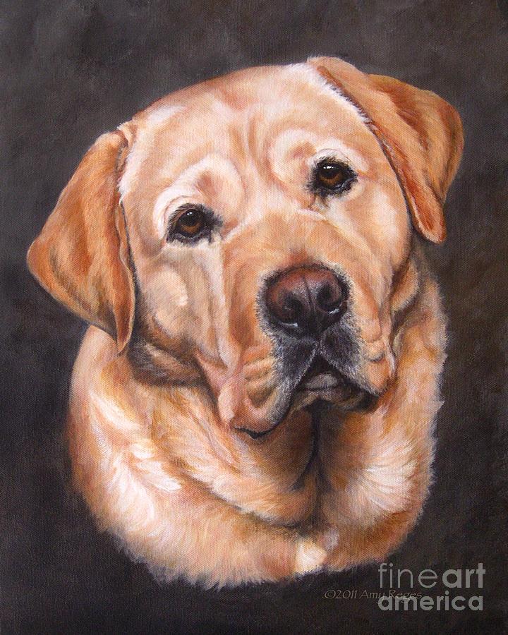 720x900 Yellow Labrador Portrait - Yellow Lab Painting