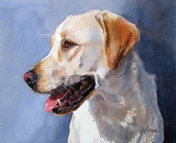 Yellow Lab Painting at PaintingValley.com | Explore collection of ...