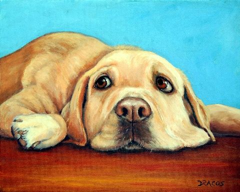 480x384 Yellow Labrador Retriever Art Labrador Retriever Art, 8x10 Dog - Yellow Lab Painting