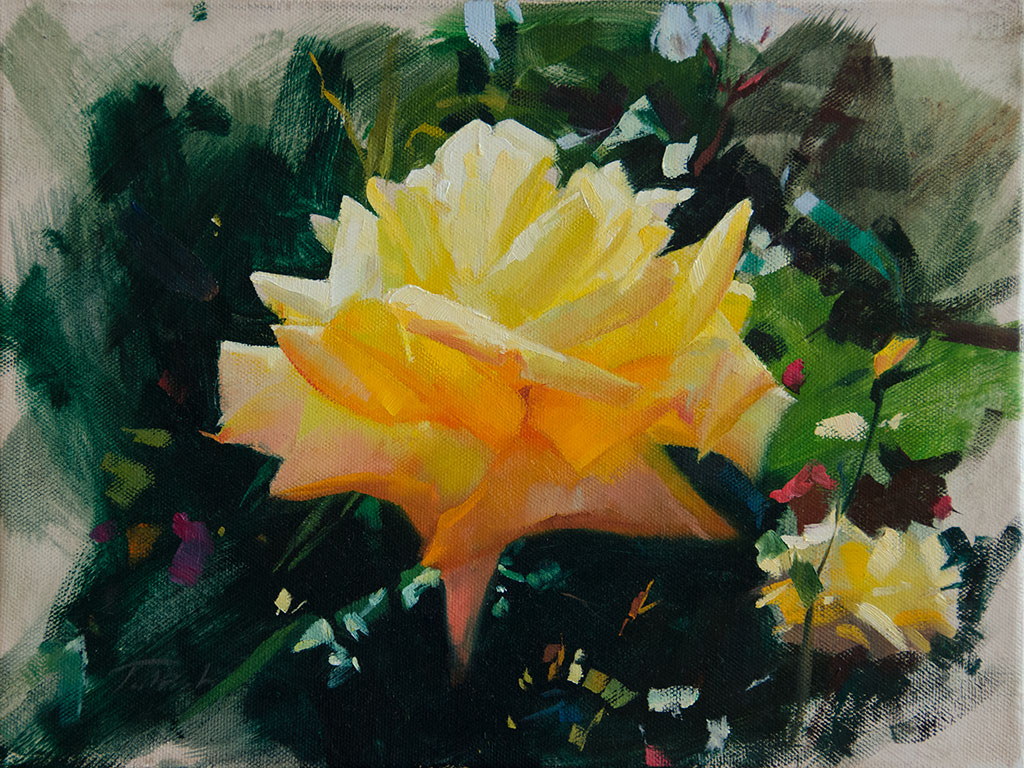 1024x768 Patrick Saunders Fine Arts - Yellow Rose Oil Painting