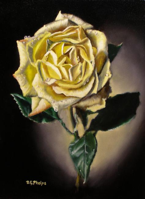 474x650 Yellow Rose Dvd Retirement - Yellow Rose Oil Painting