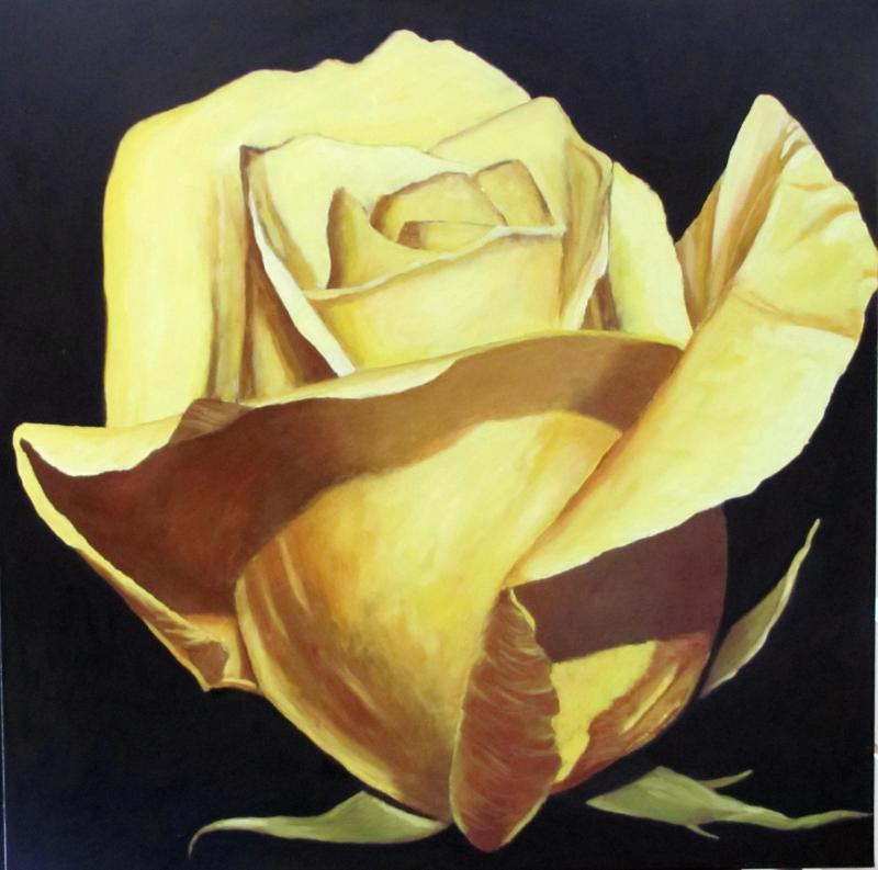 800x793 Yellow Rose 1 Oil Painting - Yellow Rose Oil Painting