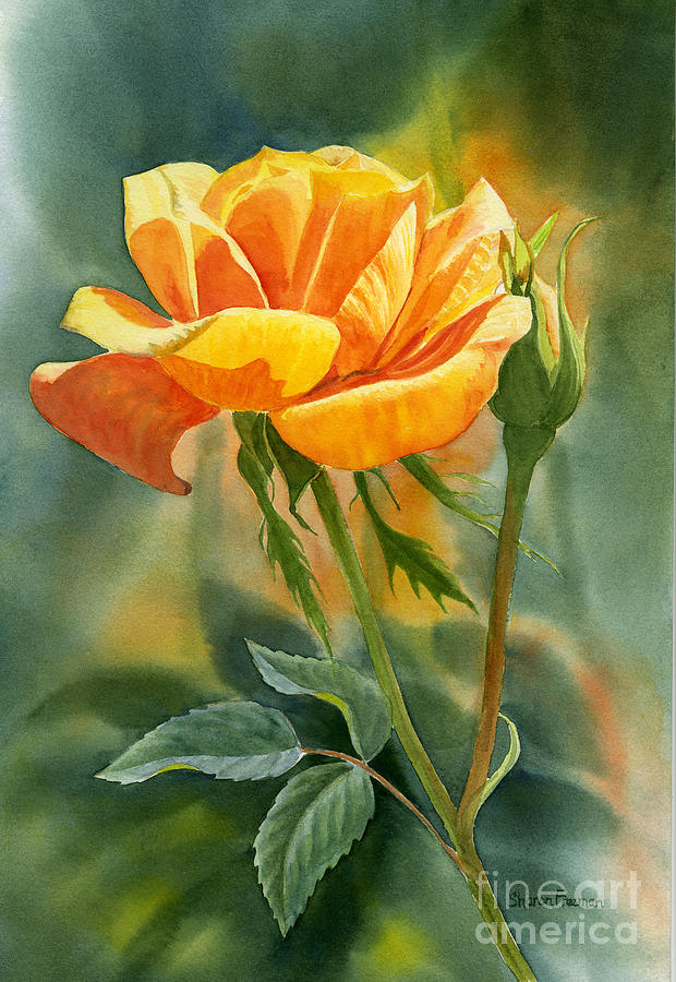 620x900 Yellow Orange Rose With Background Painting By Sharon Freeman - Yellow Rose Painting