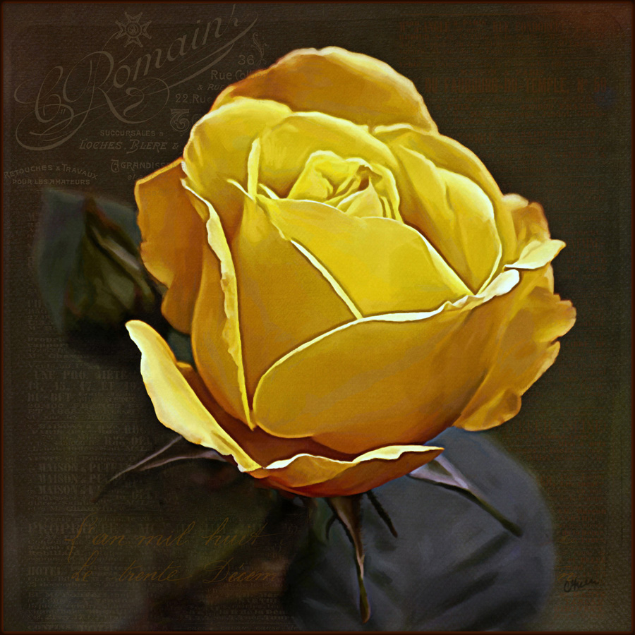 900x900 Yellow Rose - Yellow Rose Painting