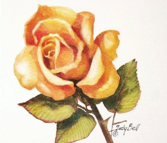 557x478 Yellow Rose Watercolor Painting Art Print Rose Art - Yellow Rose Painting
