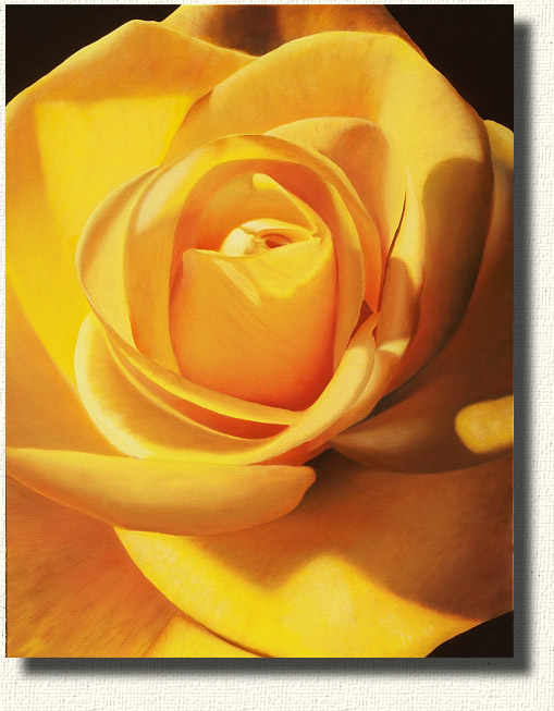 509x653 Yellow And Orange Rose Paintings By Stephen Luce - Yellow Rose Painting