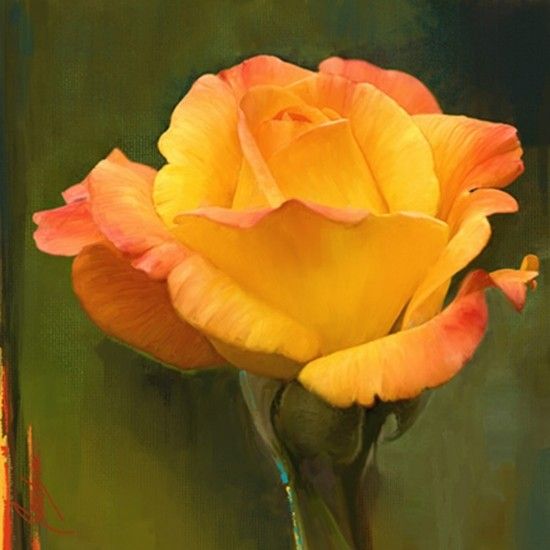 550x550 Yellow Rose Flower Painting - Yellow Rose Painting
