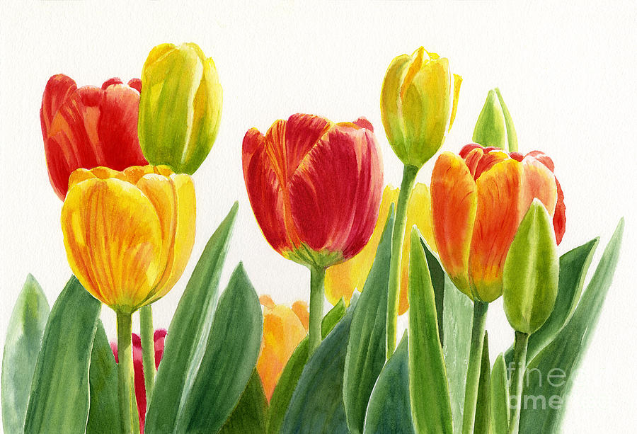 900x613 Orange And Yellow Tulips Horizontal Design Painting By Sharon Freeman - Yellow Tulip Painting