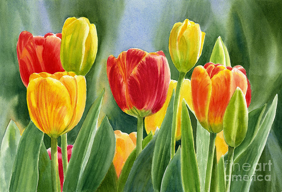 900x613 Orange And Yellow Tulips With Background Painting By Sharon Freeman - Yellow Tulip Painting