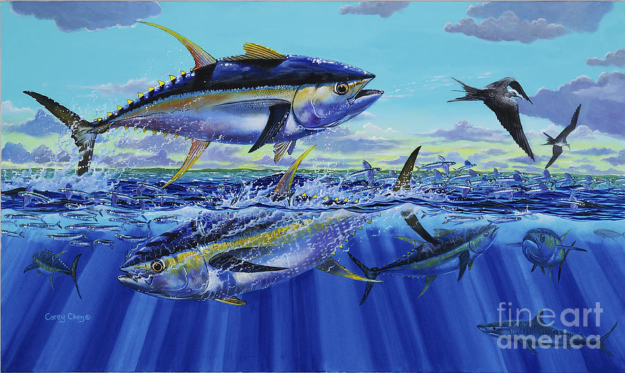 900x537 Yellowfin Bust Off0083 Painting By Carey Chen - Yellowfin Tuna Painting