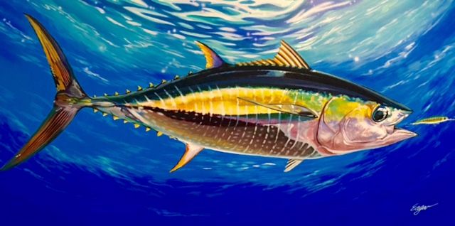 640x318 Yellowfin Tuna - Yellowfin Tuna Painting