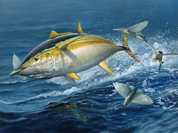 567x426 Craig Bertram Smith - Yellowfin Tuna Painting