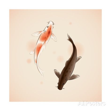 473x473 Yin Yang Koi Fishes In Oriental Style Painting Prints By Ori - Yin Yang Koi Fish Painting