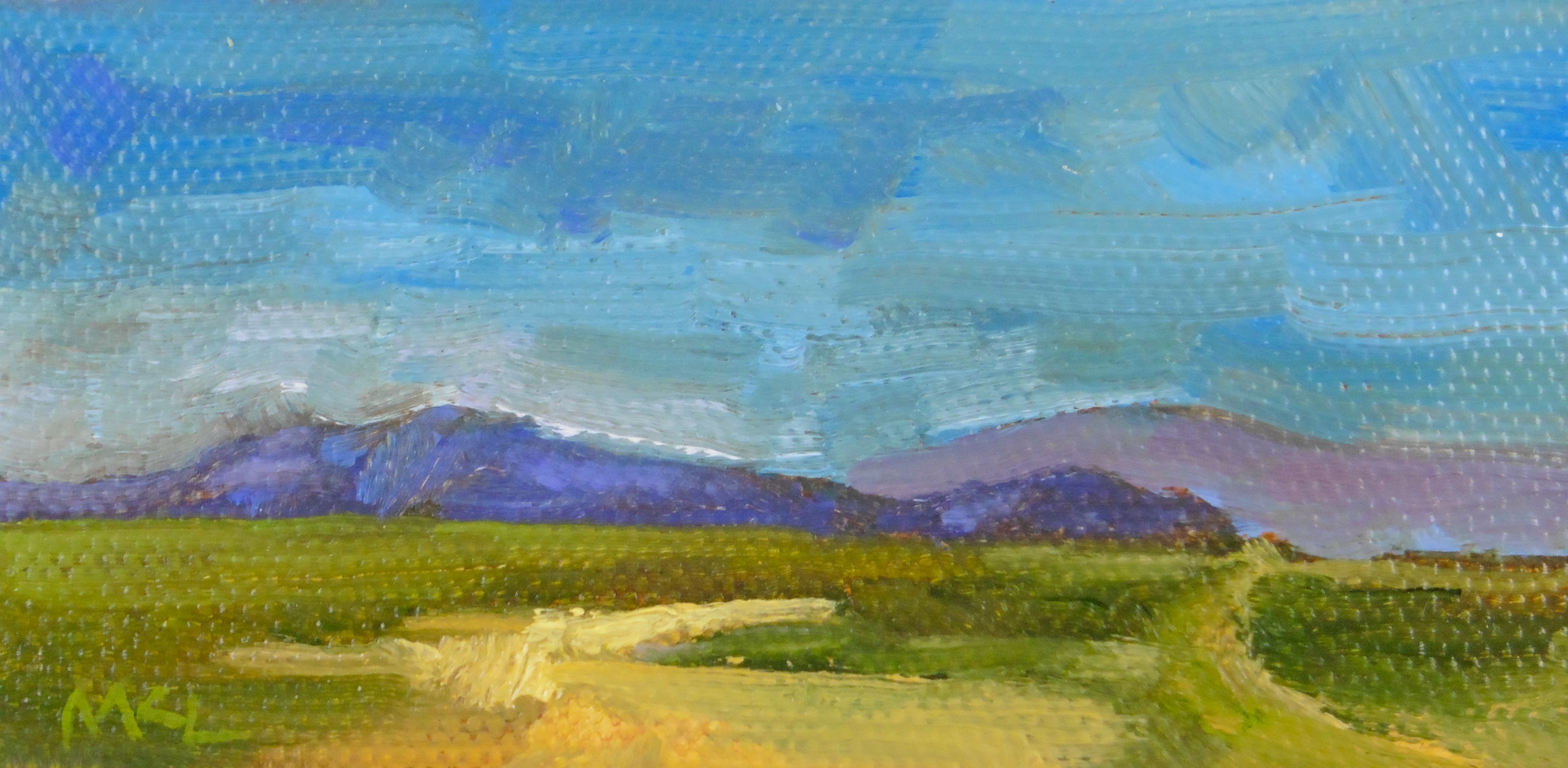 4019x1968 Yolo Causeway Tiny Paintings Series Marlene Lee Art - Yolo Painting