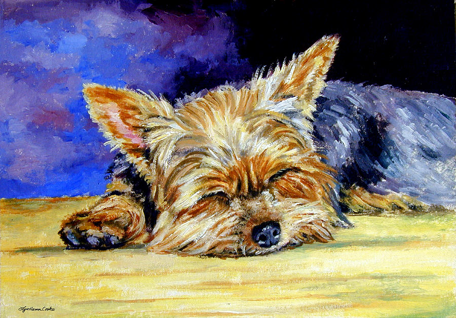 900x628 Sun Light Snoozer - Yorkie Painting