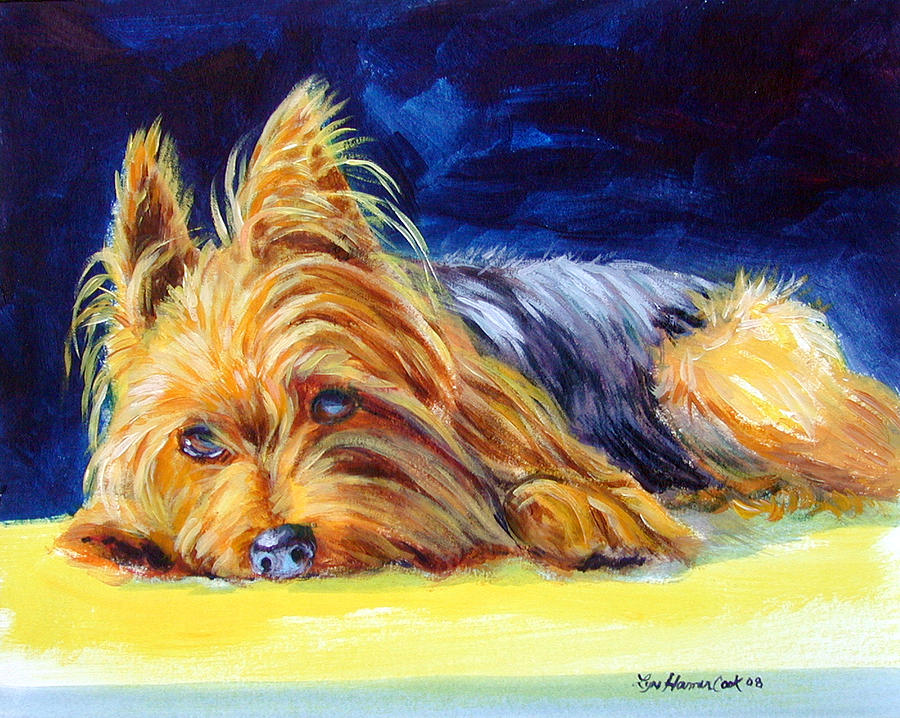 900x718 Sun Spot Yorkshire Terrier Painting By Lyn Cook - Yorkie Painting